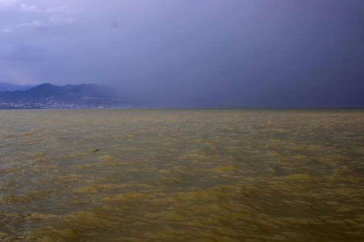 Denize Taşan Yağmur Suları İzmit Körfezini Sarıya Boyadı