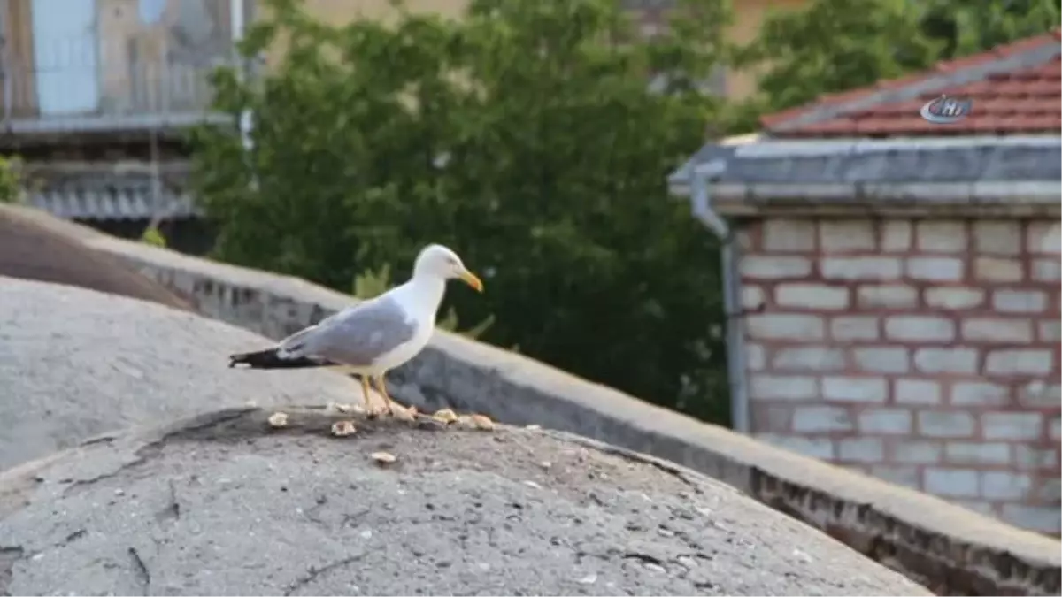 İstanbul'da Gün Batımında Mest Eden Görüntüler