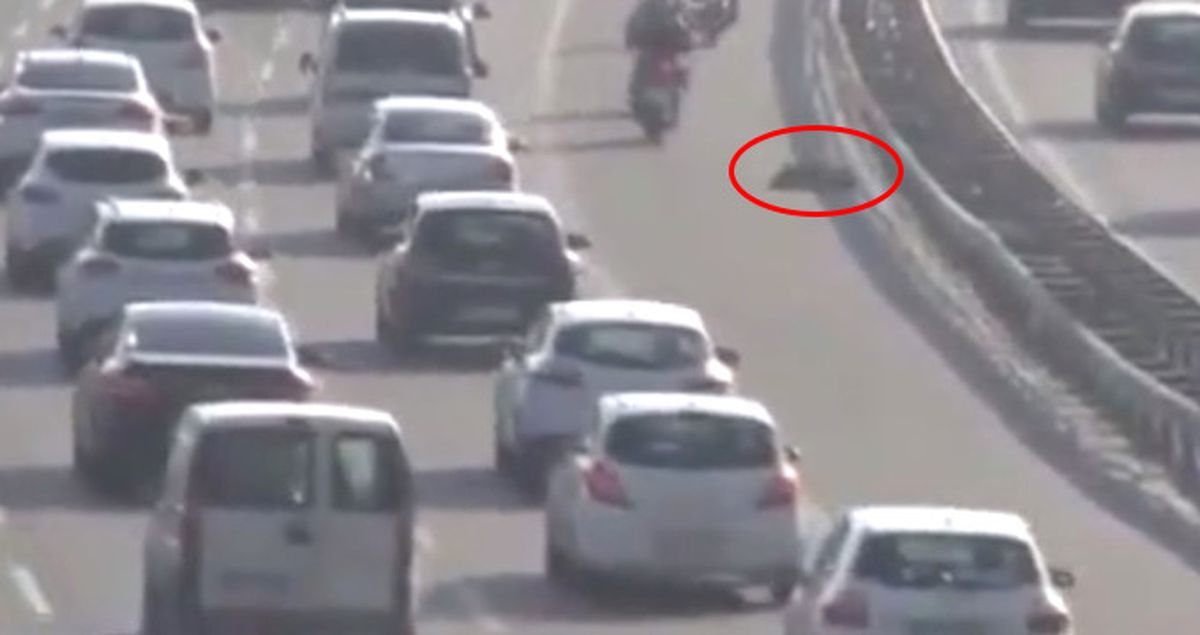 İstanbul Trafiğinde Şok Geçiren Köpeği Vatandaşlar Kurtardı