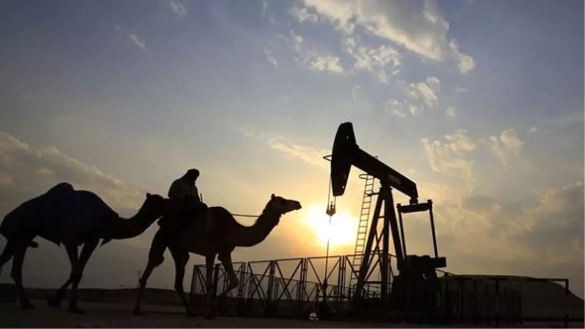 Suudi Arabistan 15,000 Katar Devesini Sınır Dışı Etti