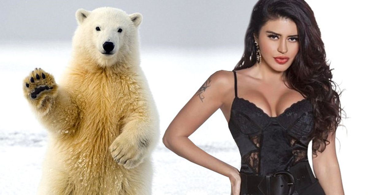Ebru Polat, Kutup Ayısını Evlat Edindi