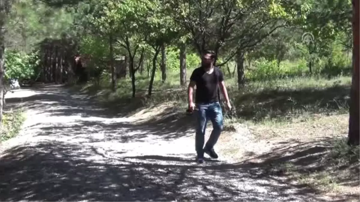 Erzincan'da Yaban Hayatı Fotokapanla Görüntülendi