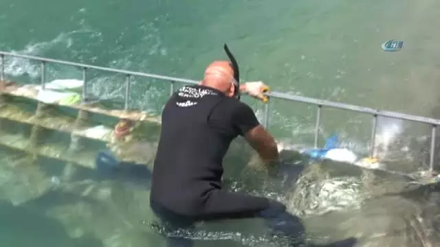 Hayata Tutunma Zincirleri Çöplere Süzgeç Oldu Hayata Tutunma Zincirleri Çöplere Süzgeç Oldu