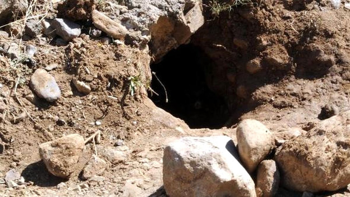 PKK'nın Hain Planı Ortaya Çıktı: Tünel Kazıyorlar, Türk Bayraklı Tişört Giyiyorlar
