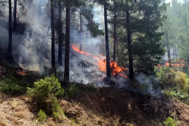 Antalya'nın büyük yangın! Evler tahliye edildi
