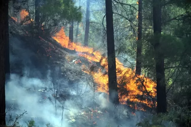 Antalya'nın büyük yangın! Evler tahliye edildi