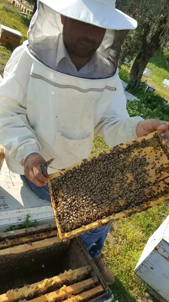 Aşırı Sıcaklara Karşı Arıları Koruyun Aşırı Sıcaklara Karşı Arıları Koruyun