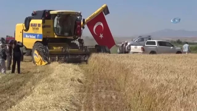 Hasat Bayramı ile Çiftçiler Tarlaya İndi Hasat Bayramı ile Çiftçiler Tarlaya İndi