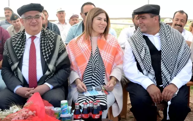 Hasat Bayramı ile Çiftçiler Tarlaya İndi Hasat Bayramı ile Çiftçiler Tarlaya İndi