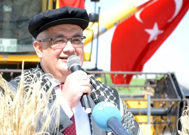Hasat Bayramı ile Çiftçiler Tarlaya İndi Hasat Bayramı ile Çiftçiler Tarlaya İndi