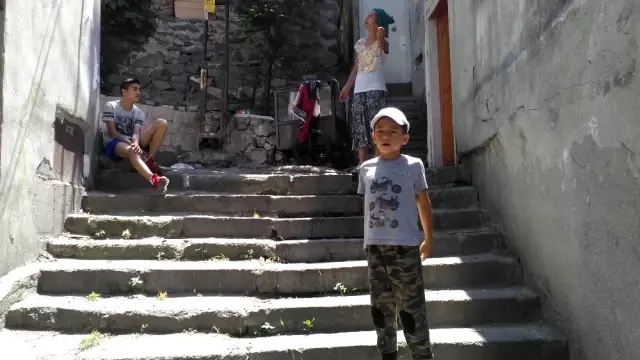 Istanbul'da Inanılmaz Olay: Mahalleyi Pire Bastı Istanbul'da Inanılmaz Olay: Mahalleyi Pire Bastı