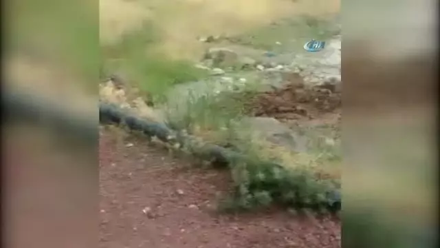 Yurt Genelinde Kavurucu Sıcaklar, Van'da Sel Felaketi