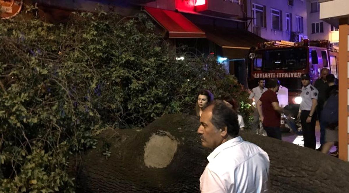Kadıköy'de Asırlık Ağaç Kafenin Üzerine Devrildi: 2 Yaralı