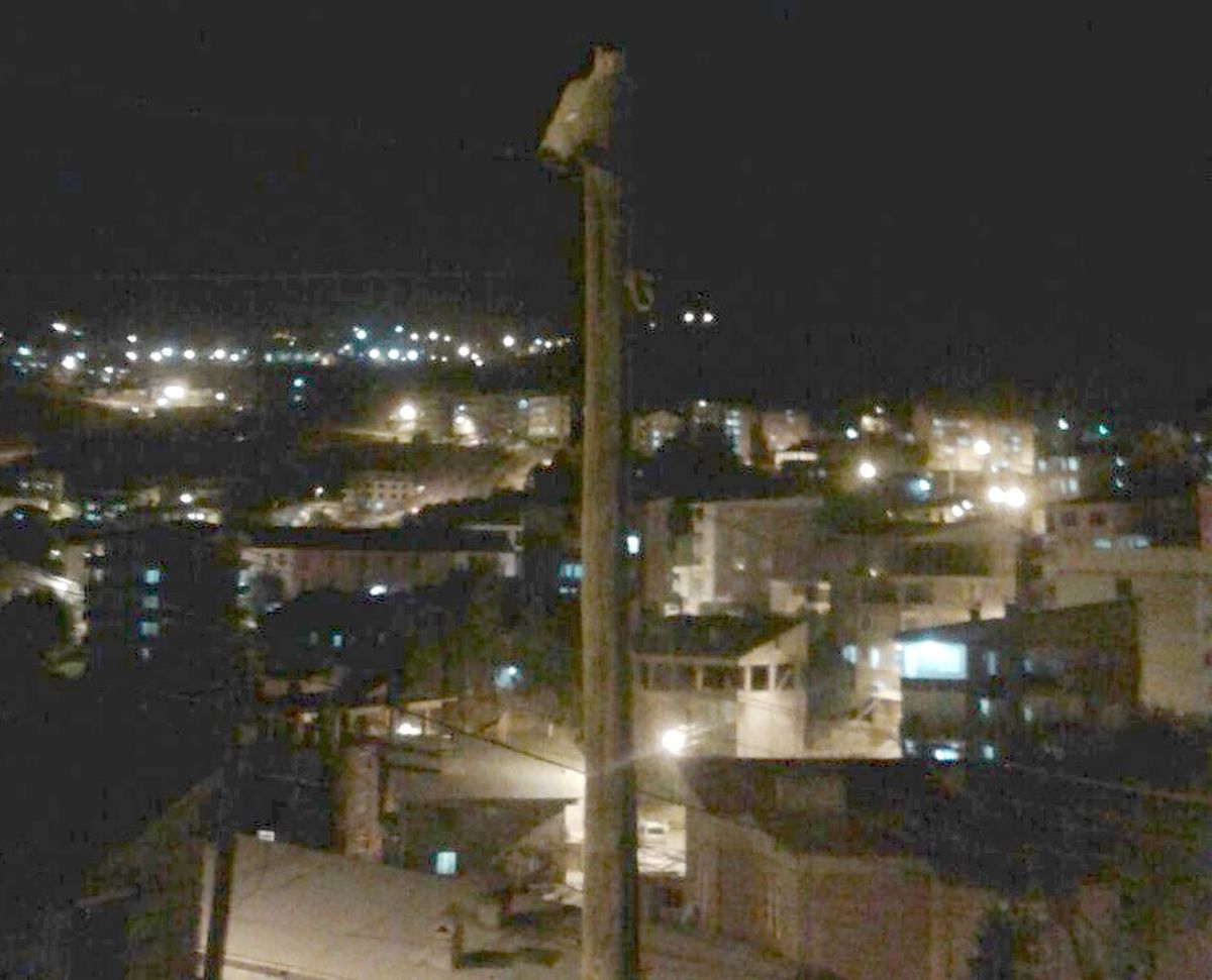 7 Metrelik Elektrik Direğinde Saatlerce Mahsur Kalan Kedi, Ortalık Karışınca Kendiliğinden İndi