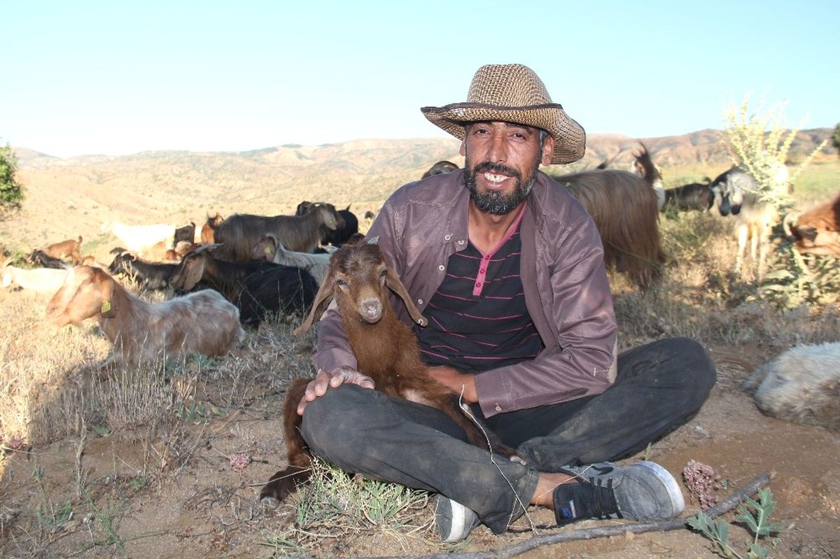 Şehir Yaşamından Sıkıldı, Köyde Yaşamaya Başladı