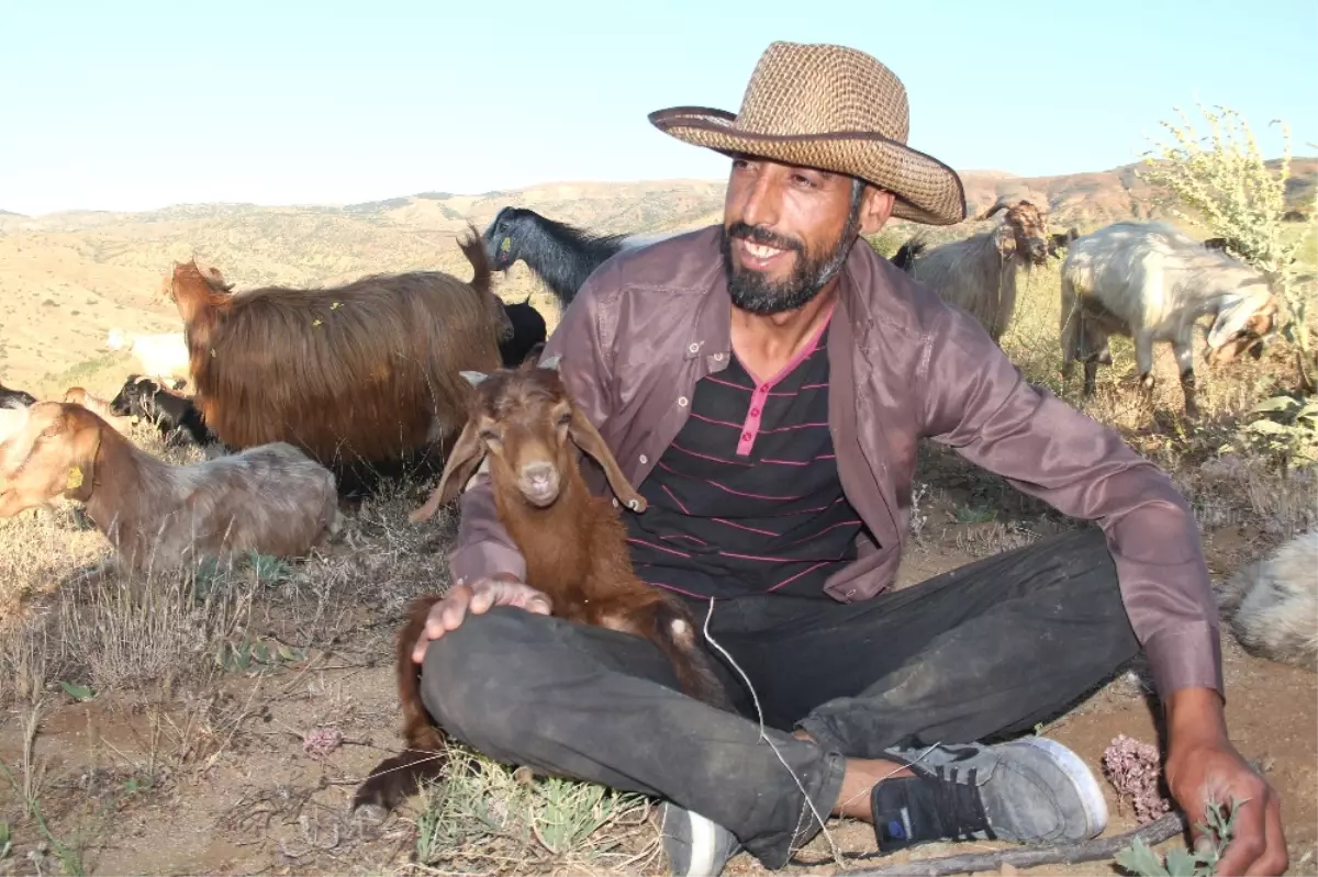 Şehrin Gürültüsünden Bıkınca Köyüne Döndü