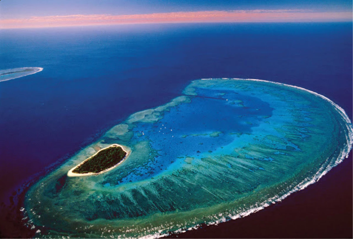 Остров австралии 7. Барьерный риф в Австралии. Большой Барьерный риф в коралловом море. Коралловый остров леди Масгрэйв Австралия. Большой коралловый риф в Австралии.