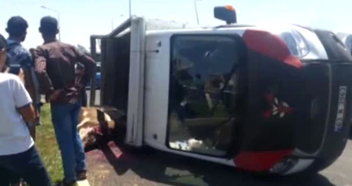 Kaza Yapmamak İçin Ani Manevra Yapan Kamyonet Takla Attı! 4 İnek Telef Oldu