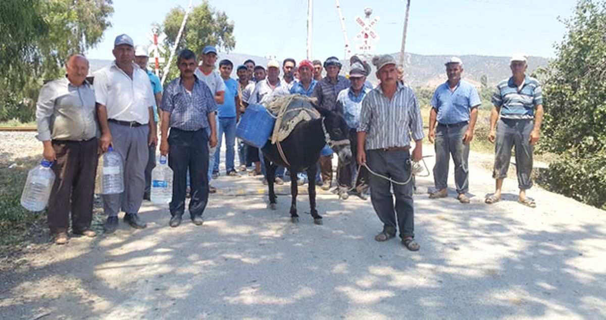 İzmir'de Yaşayan Mahalleli Eşek Sırtında Evlerine Su Taşıyor