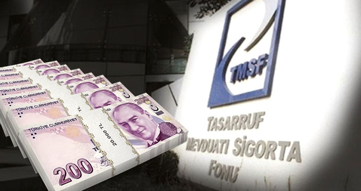 TMSF'ye Devredilen 965 Şirketin Aktif Büyüklüğü 41 Milyar Lira