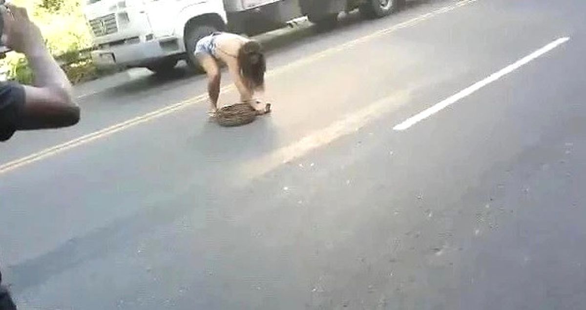 Trafiği Aksatan 4 Metrelik Pitonu Bebek Gibi Kucağına Alıp Yolun Kenarına Bıraktı