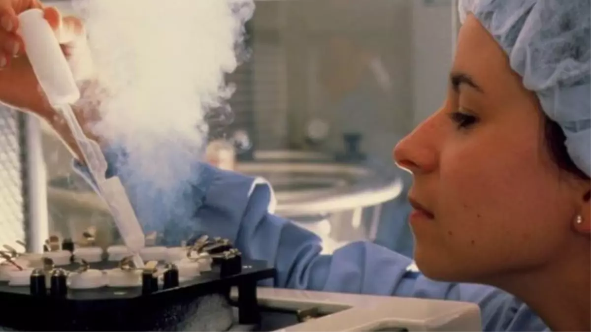 Üniversite Mezunu Kadınlar 'Erkek Açığı' Nedeniyle Yumurtalarını Donduruyor