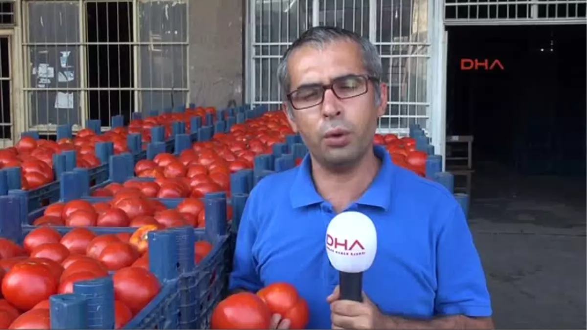 Adana Sıcak Hava Domatesi Vurdu, Kilosu 30 Kuruşa Düştü