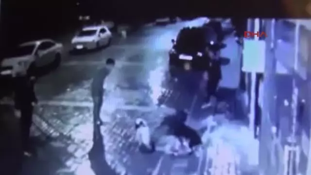 Manisa Iskence Goren Sokak Kopegi Dogal Ortamina Birakildi Manisa
