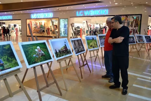 Tarım ve İnsan' Fotoğraf Sergisi Tarım ve İnsan' Fotoğraf Sergisi