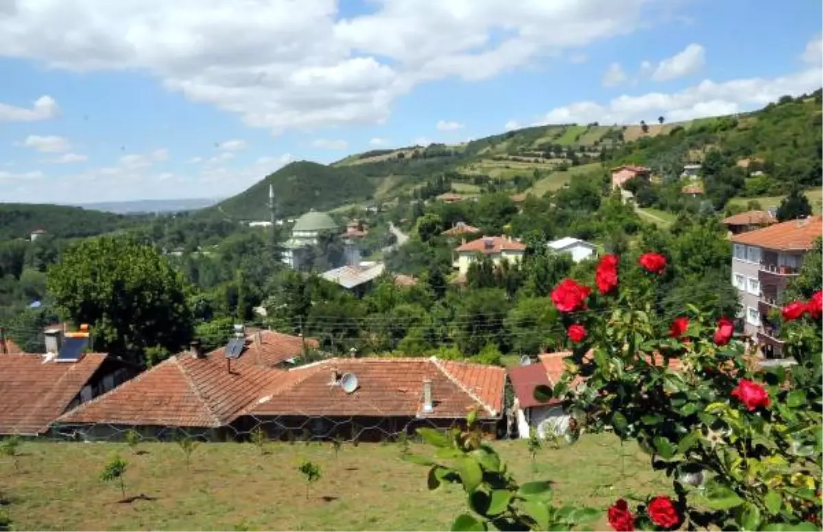 Yalova'daki Boşnak Köyü Soğuksu, Eski Adı Ayazma'yı İstiyor