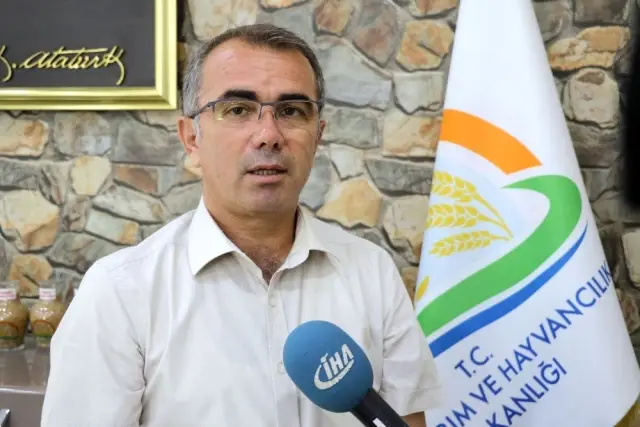 Anız Yangınları Hutbelerle Önlenecek Anız Yangınları Hutbelerle Önlenecek