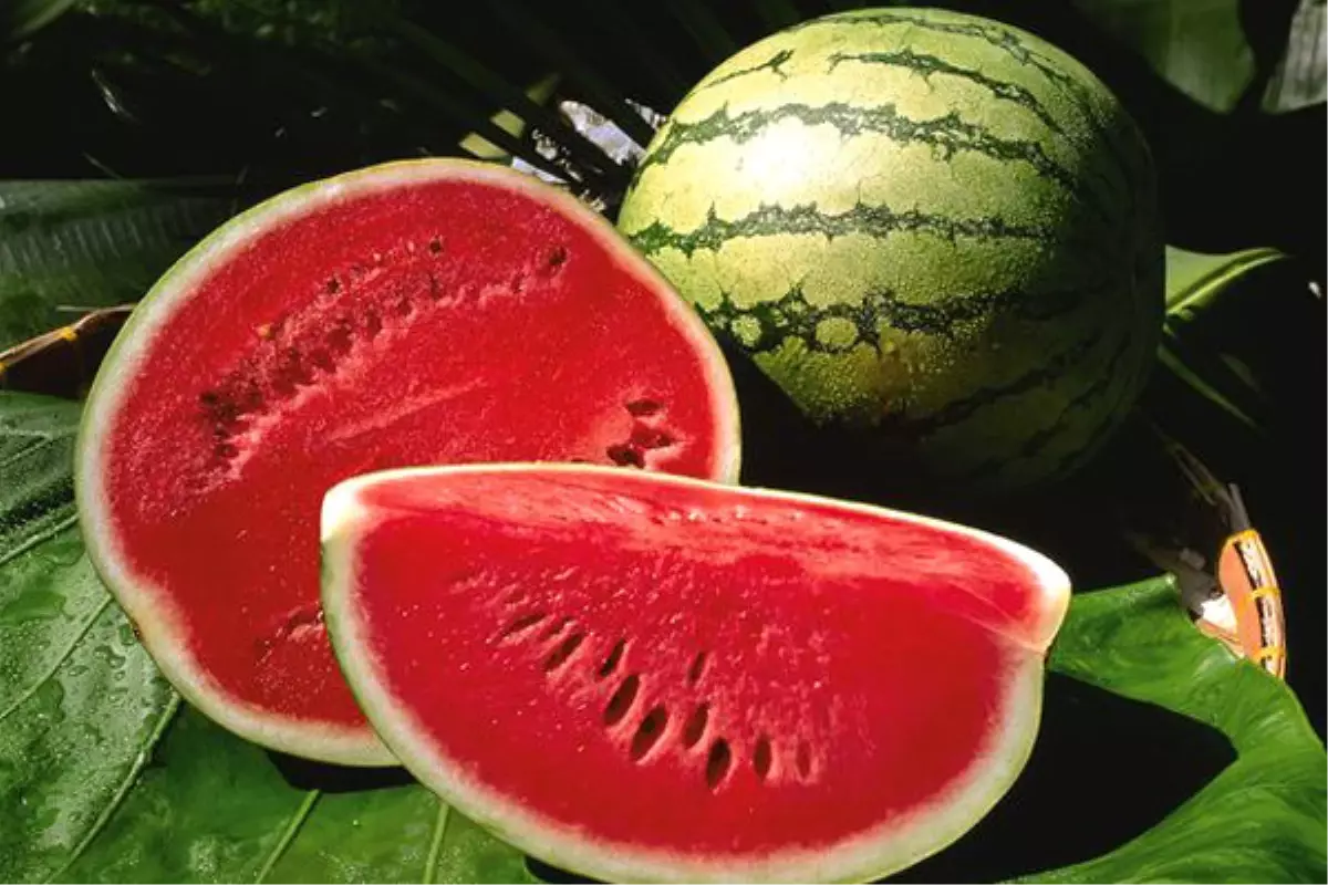 Şimdi de, 'Poyraz' Vurdu