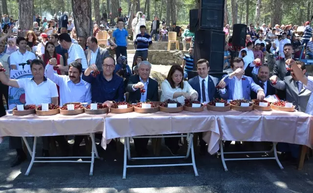 39. Mihalıççık Kiraz Festivali 39. Mihalıççık Kiraz Festivali