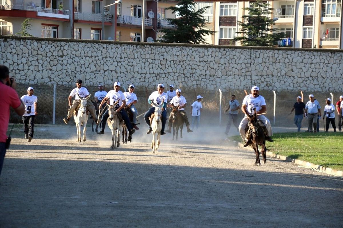 Eşeğe Binme ve En Güzel Gözlü Eşek Yarışları Yapıldı