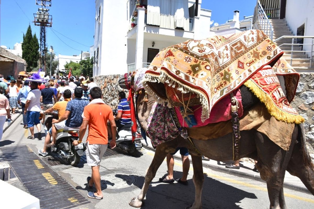 Bodrum'da 50 Yıldır Çeyizler Deve Sırtında Taşınıyor