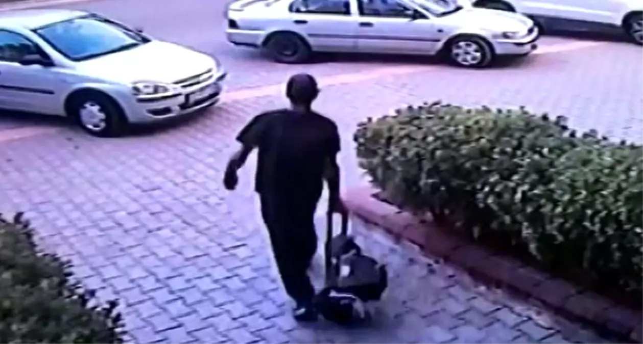 Bu Kadarına da Pes!