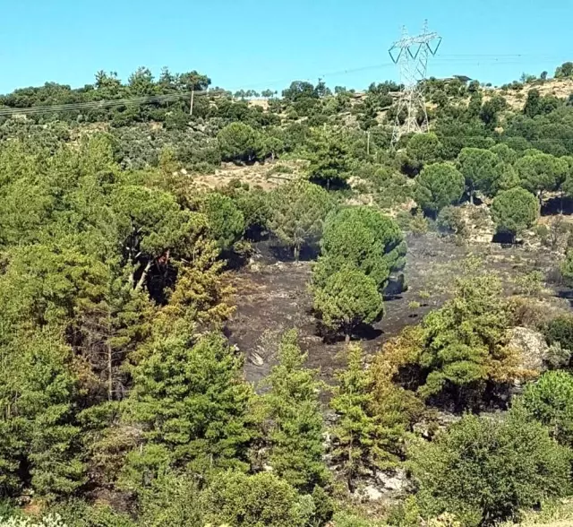 Karpuzlu'da 3 Dönüm Tarım Arazisi Kül Oldu Karpuzlu'da 3 Dönüm Tarım Arazisi Kül Oldu