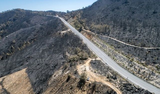 İzmir'e 1,5 Milyon Fidan Dikilecek
