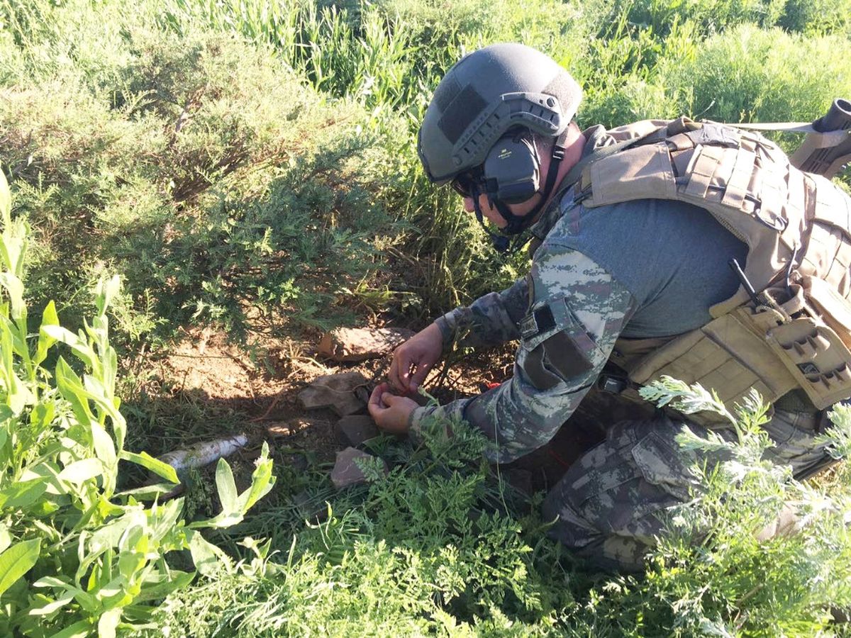 Tunceli'de Ele Geçirildi: Tam 100 Kilo!