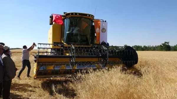 Bakan Çelik, Buğday Fiyatlarını Açıkladı Bakan Çelik, Buğday Fiyatlarını Açıkladı