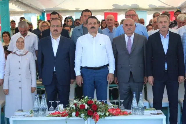 Bakan Çelik Konya'da Hasat Bayramına Katıldı Bakan Çelik Konya'da Hasat Bayramına Katıldı