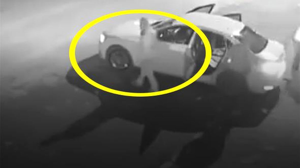 Ankara'nın Hırsızlık Makinesi 'Maskeli Beşler' Huzur Bırakmadı