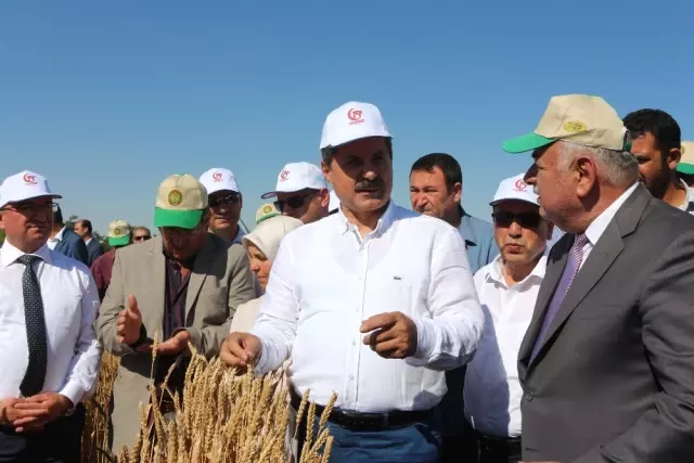 Bakan Çelik Konya'da Hasat Bayramına Katıldı