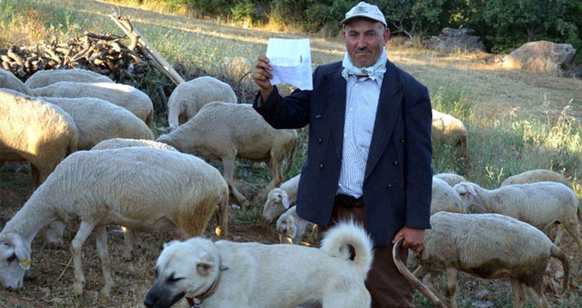 Dağda Yaşayan Çobana Hiç Geçmediği Köprüden Trafik Cezası Geldi