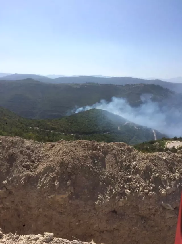 Hatay Sınırında Orman Yangını