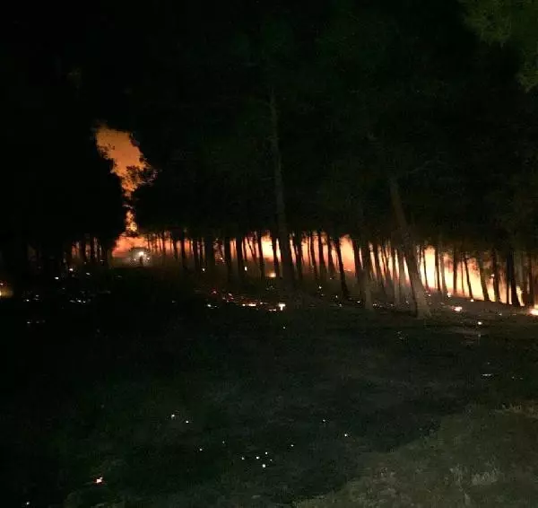 Kırıkhan'da Orman Yangını