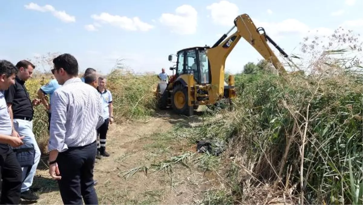 Sulama Kanalına Atılan Poşetten Köpek Leşleri Çıktı