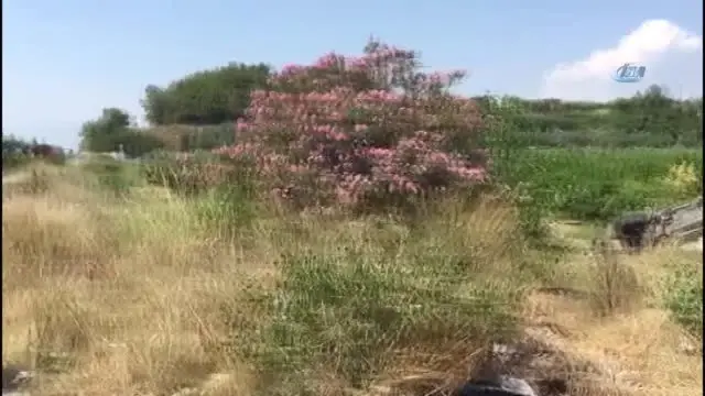 Manavgat'ta Tur Minibüsü Şarampole Yuvarlandı: 9 Yaralı Manavgat'ta Tur Minibüsü Şarampole Yuvarlandı: 9 Yaralı