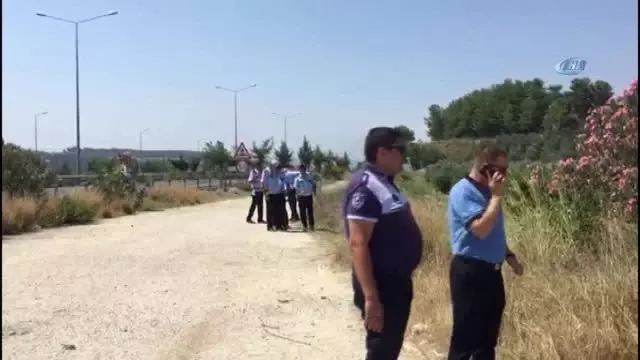 Manavgat'ta Tur Minibüsü Şarampole Yuvarlandı: 9 Yaralı Manavgat'ta Tur Minibüsü Şarampole Yuvarlandı: 9 Yaralı