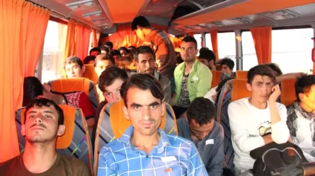 Sivas'ta 51 Kaçağın Yakalanması